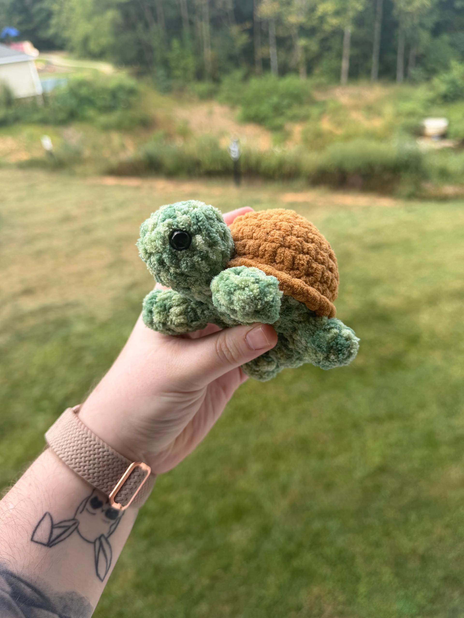 Handheld Turtles