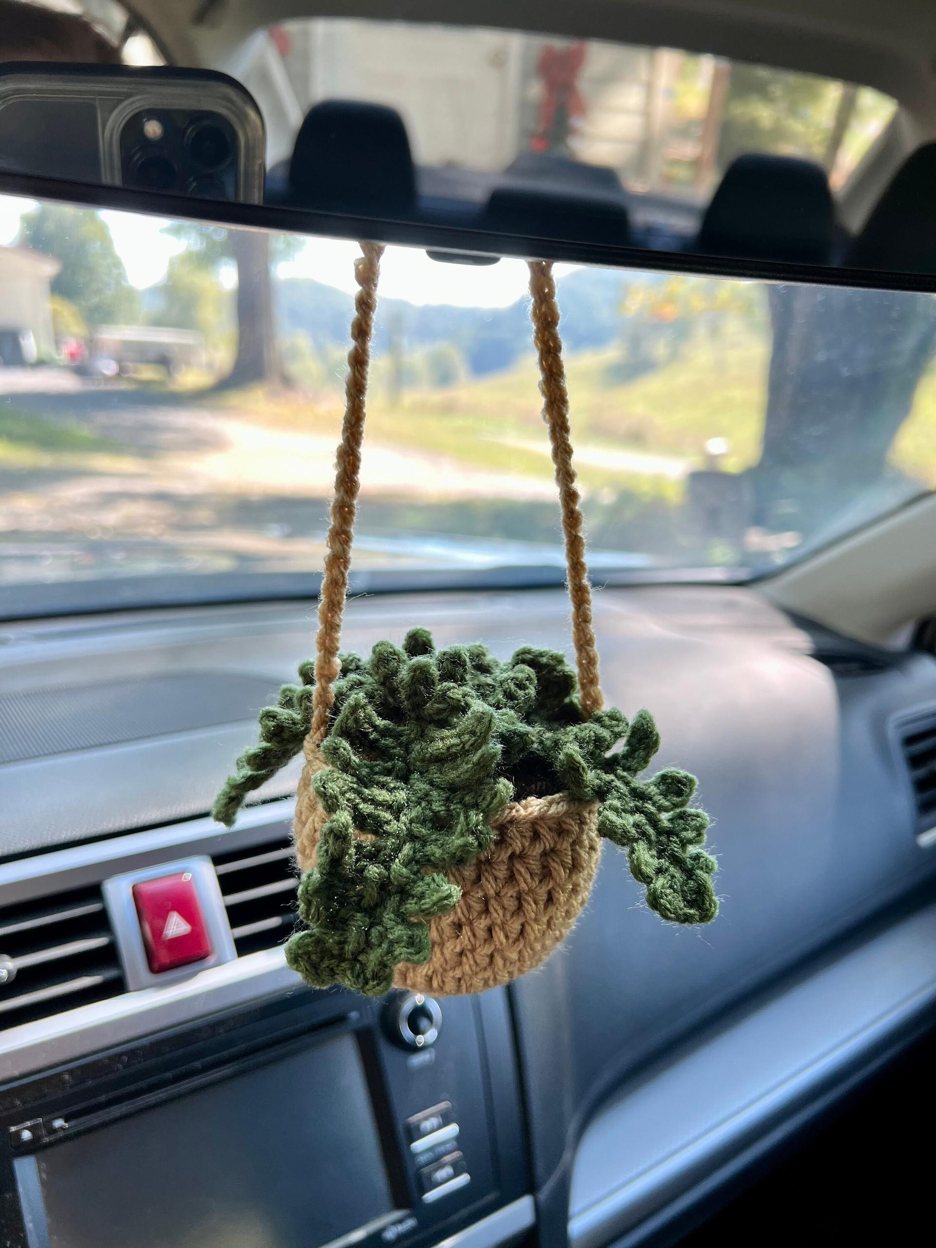 Fern car mirror hanger