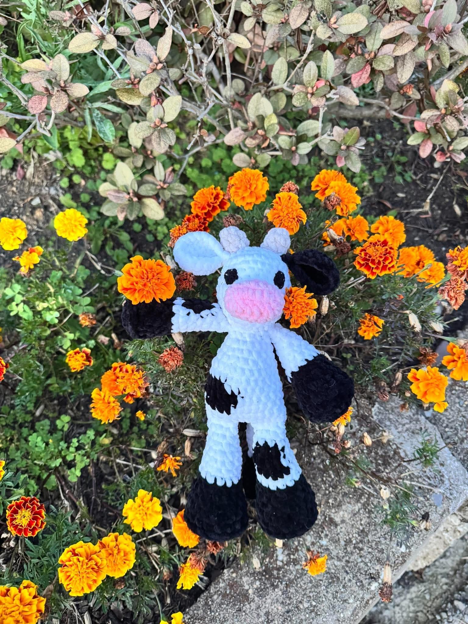 Riley the Ragdoll Cow thumbnail 11