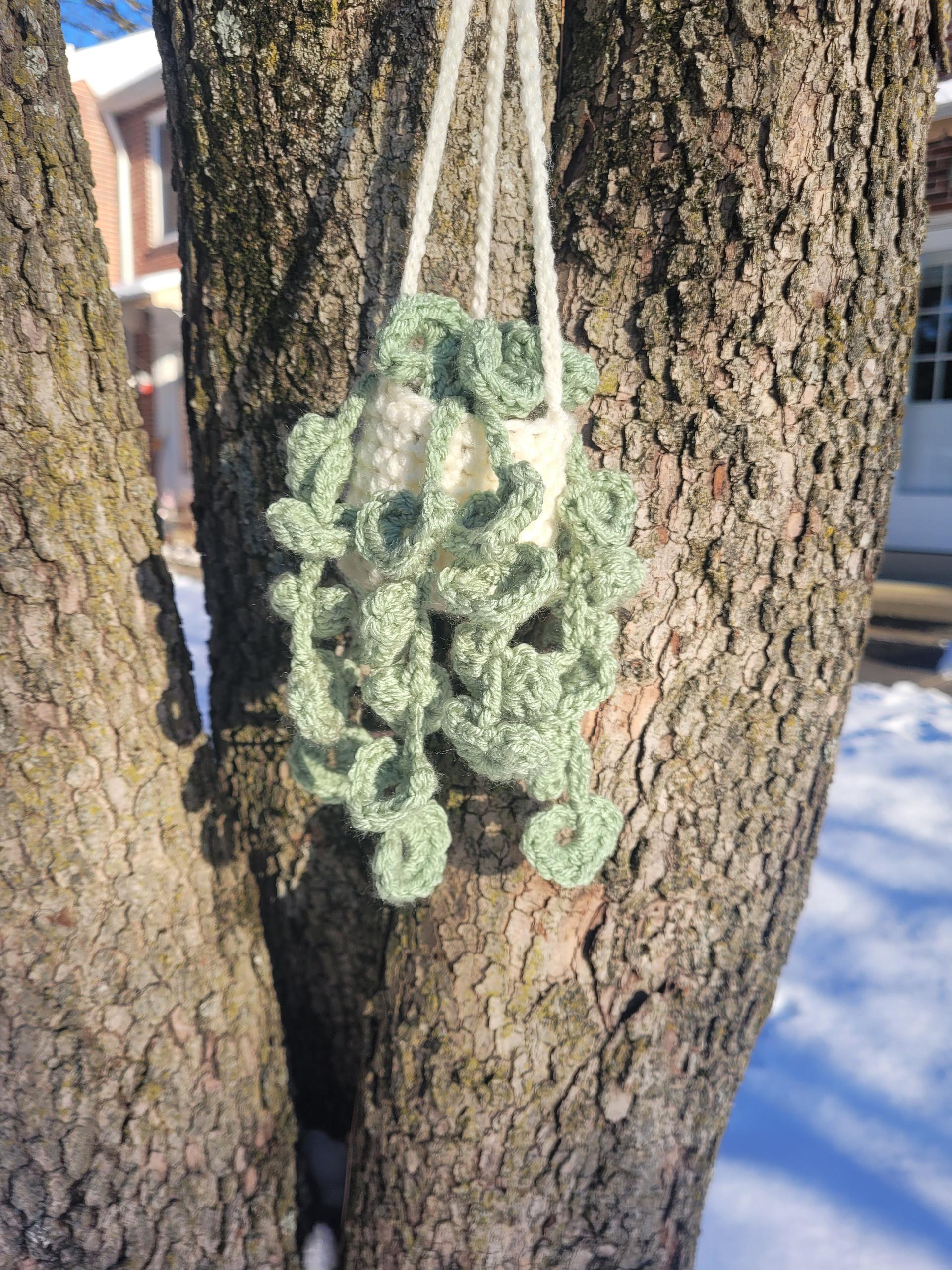 Mini string of hearts pattern PDF, Crochet plant pattern, Hanging plant pattern thumbnail 4