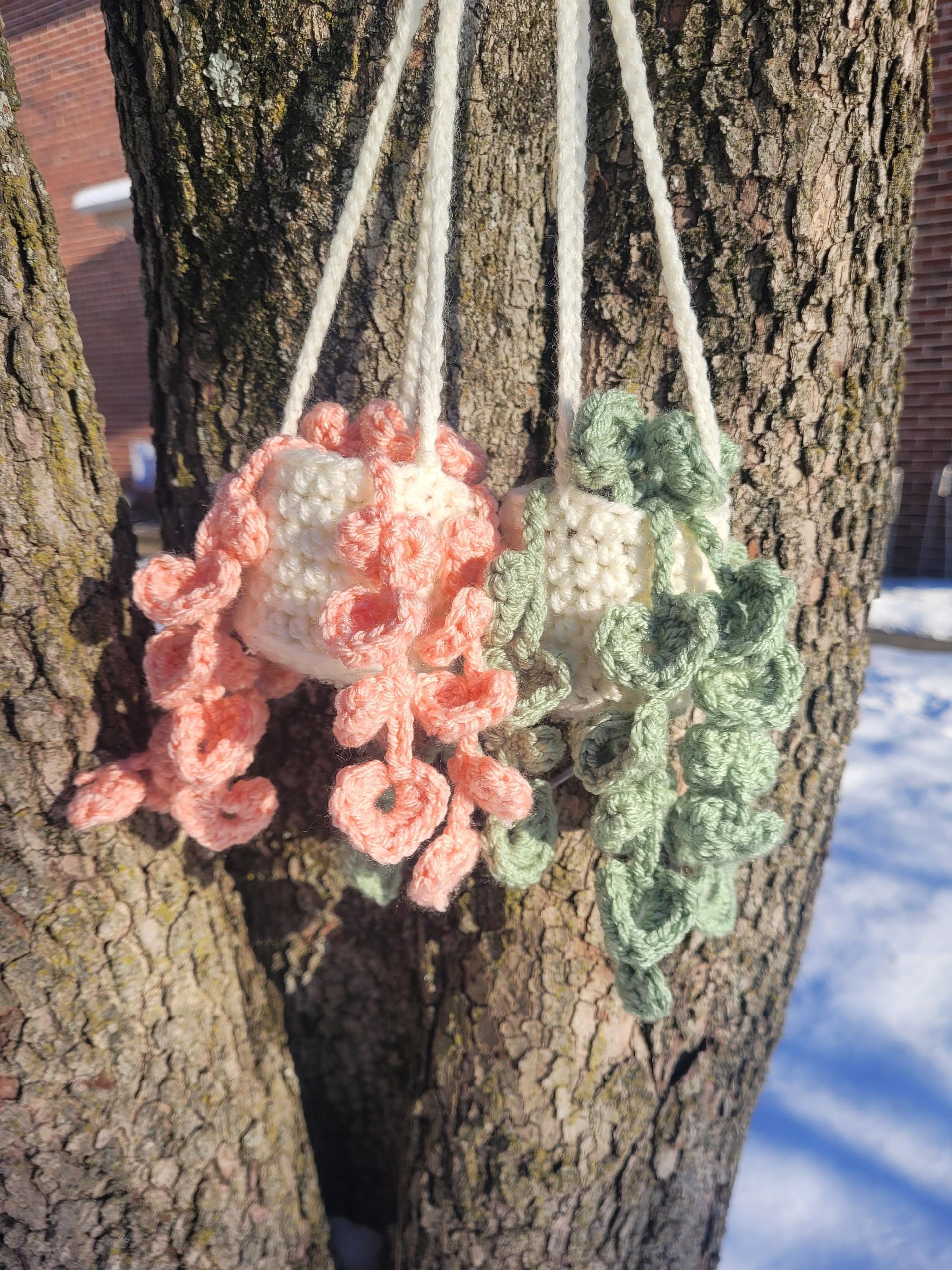 Mini string of hearts pattern PDF, Crochet plant pattern, Hanging plant pattern thumbnail 3