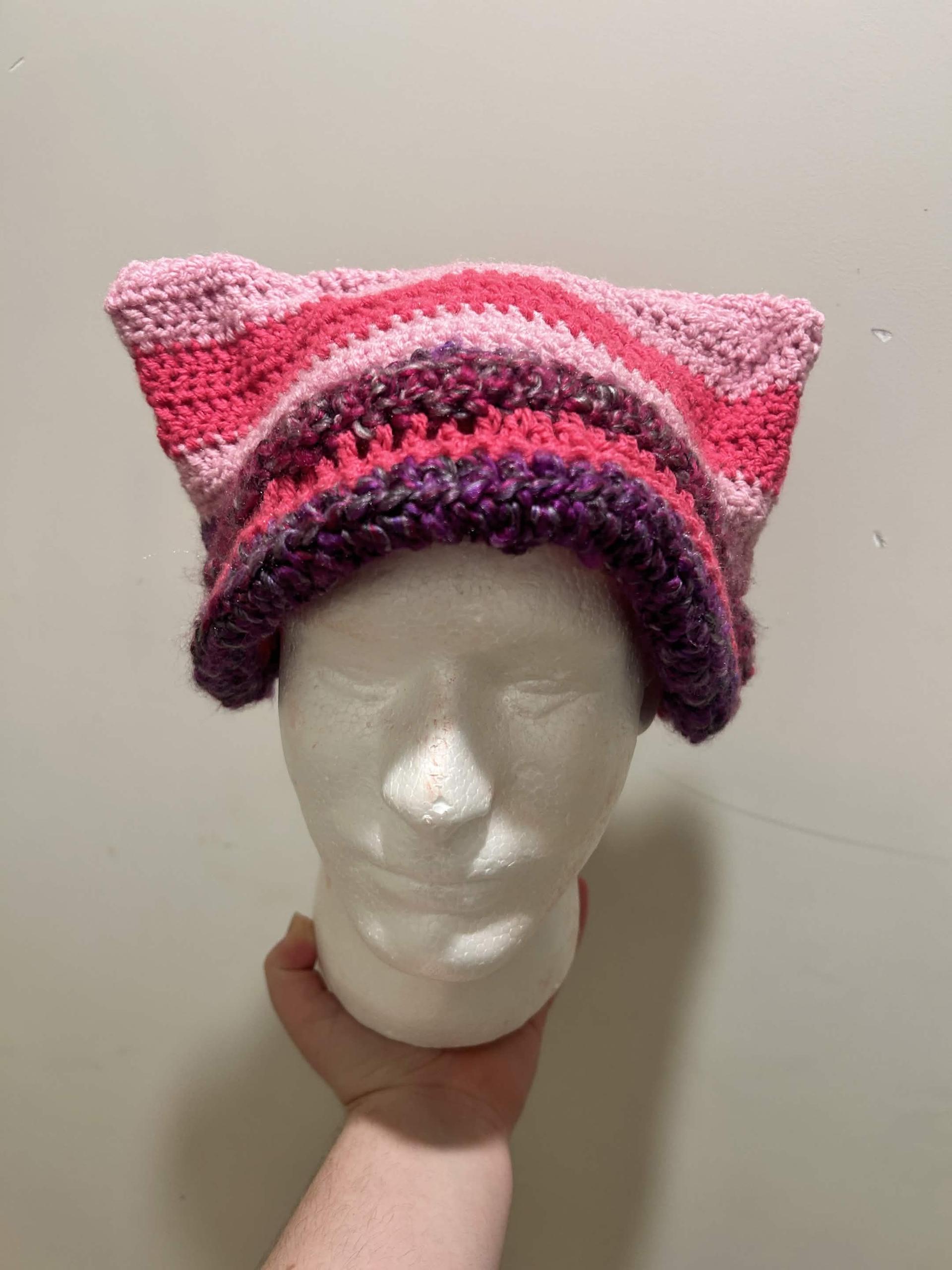 Cat beanie