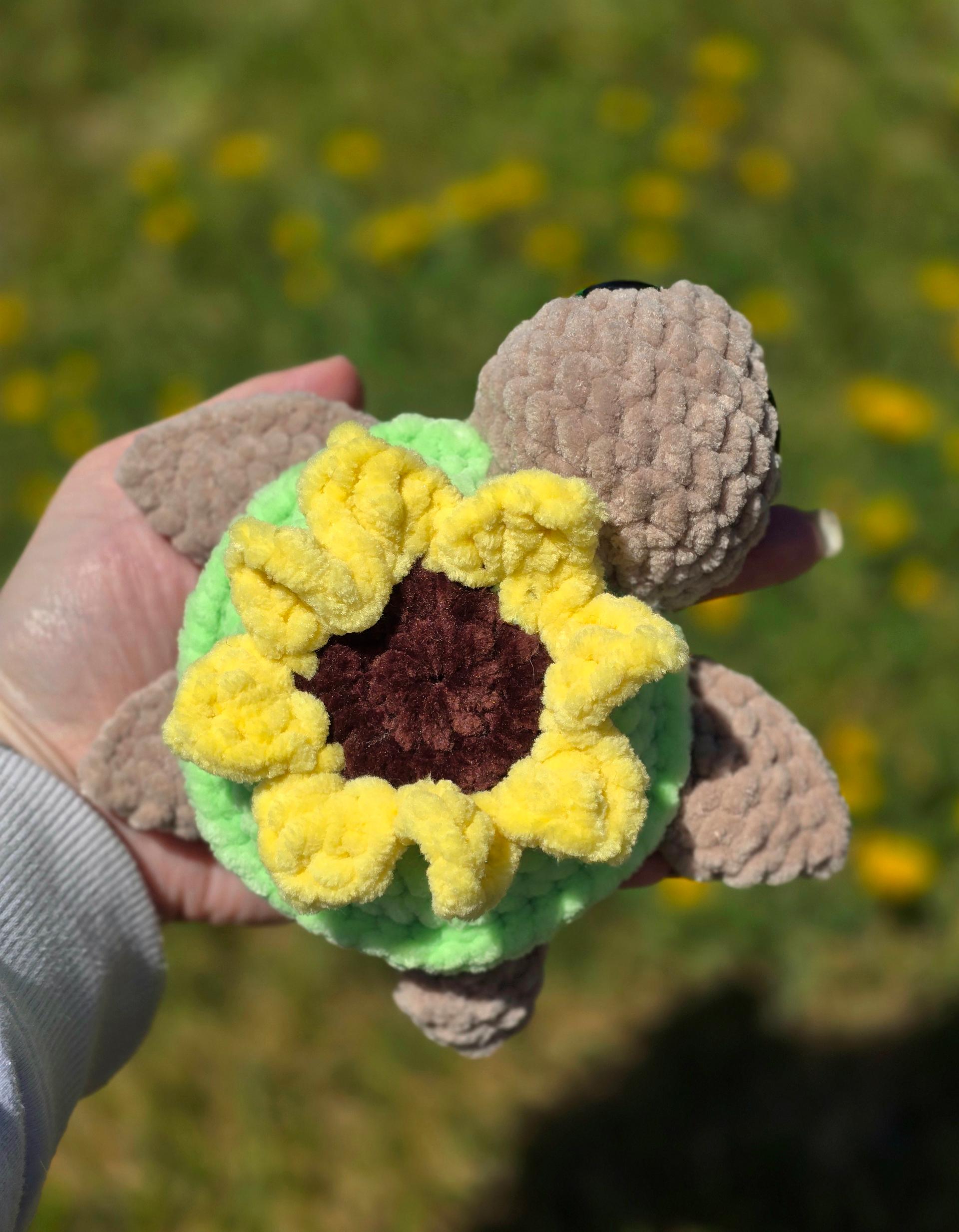 Sunflower Sea Turtle