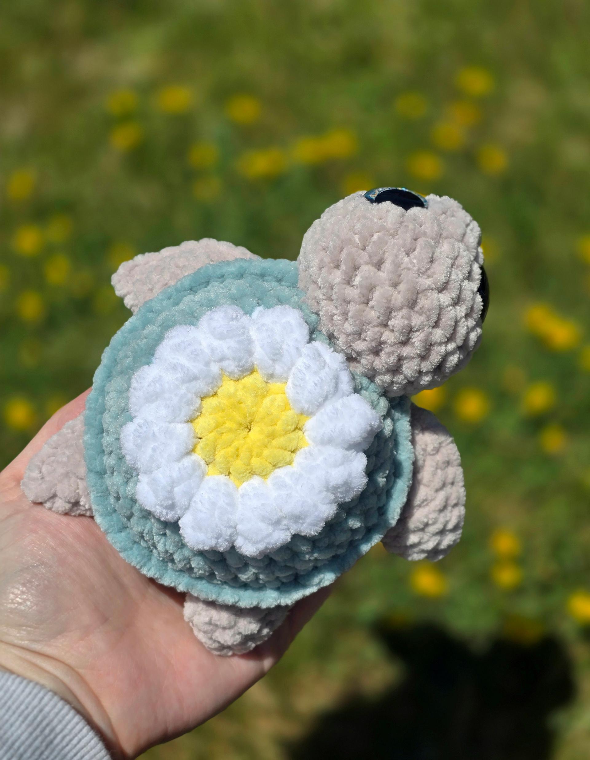 Daisy Sea Turtle