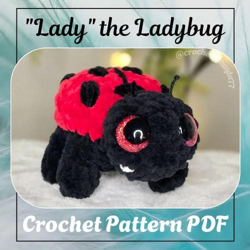 Lady the Ladybug