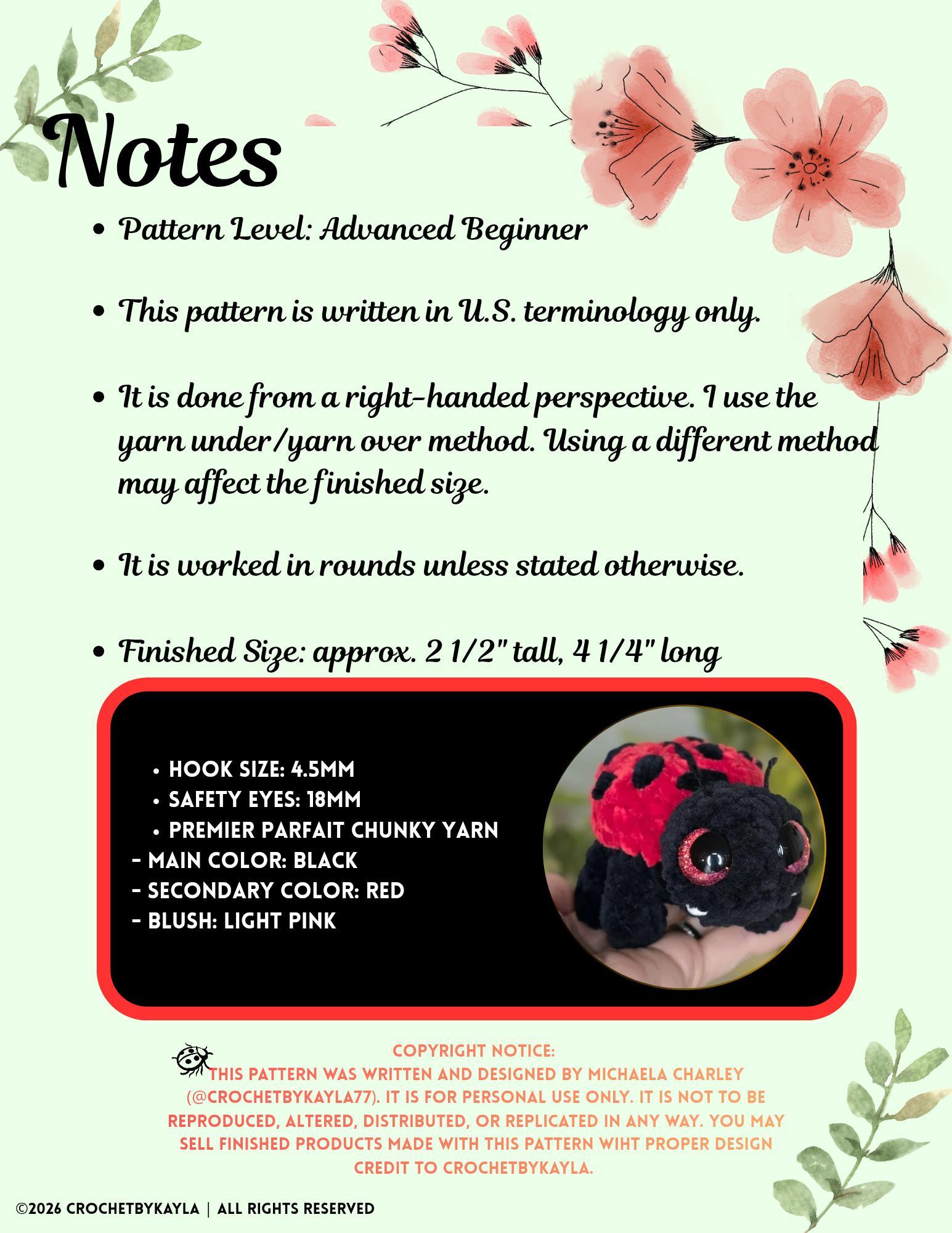 Lady the Ladybug thumbnail 3