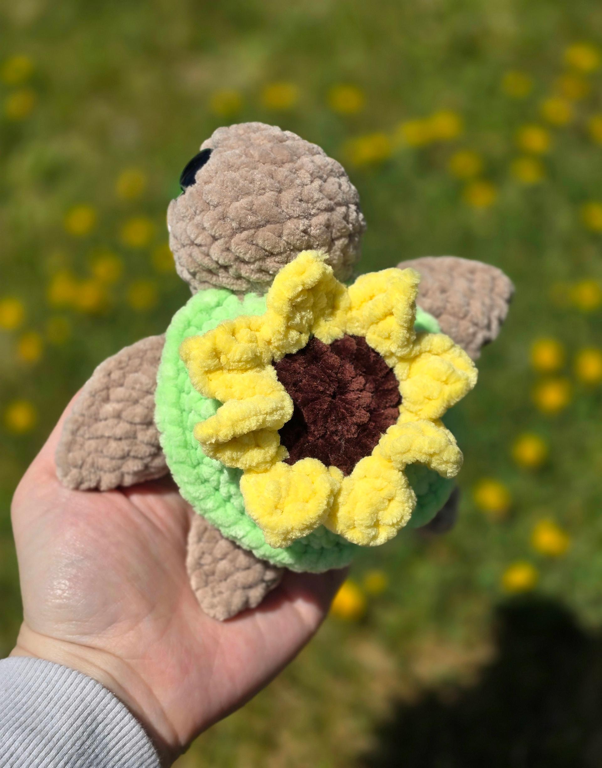 Sunflower Sea Turtle thumbnail 3