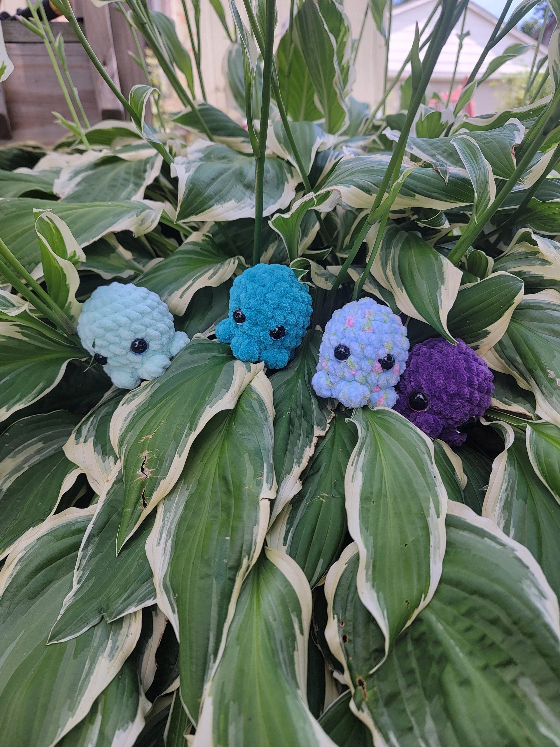 Crochet Mini Octopus thumbnail 4