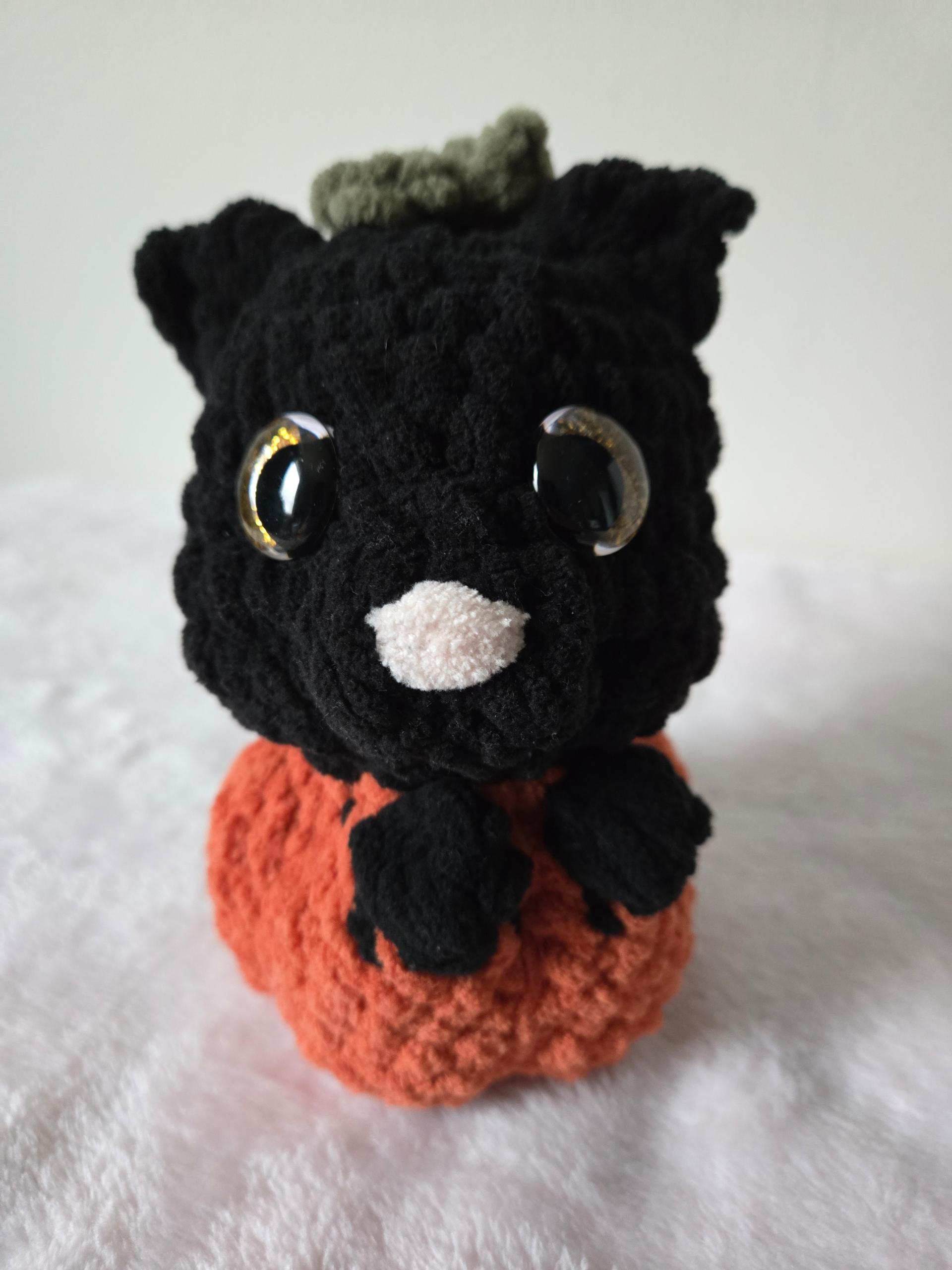 Cat in Pumpkin