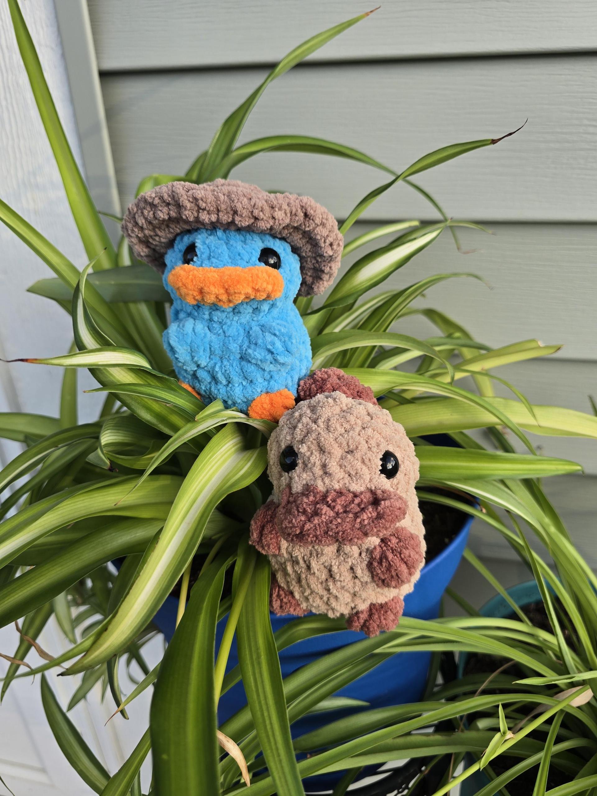 Platypus Pocket Plushie