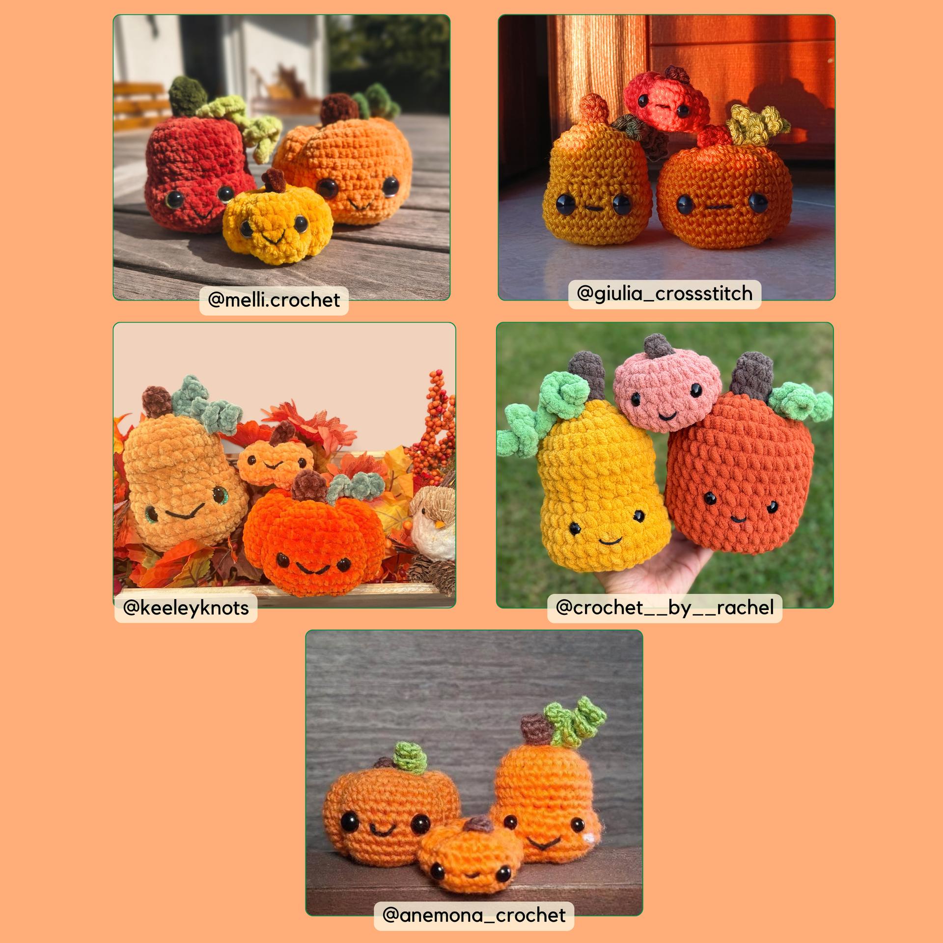Squashie Guys | Crochet Pattern Bundle | Mini Pumpkin | Big pumpkin | Tall Squash thumbnail 3
