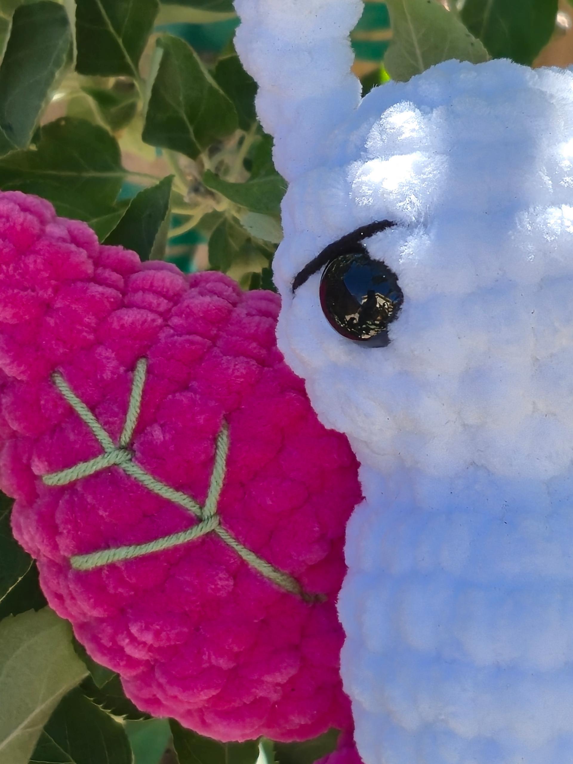 Butterfly thumbnail 2