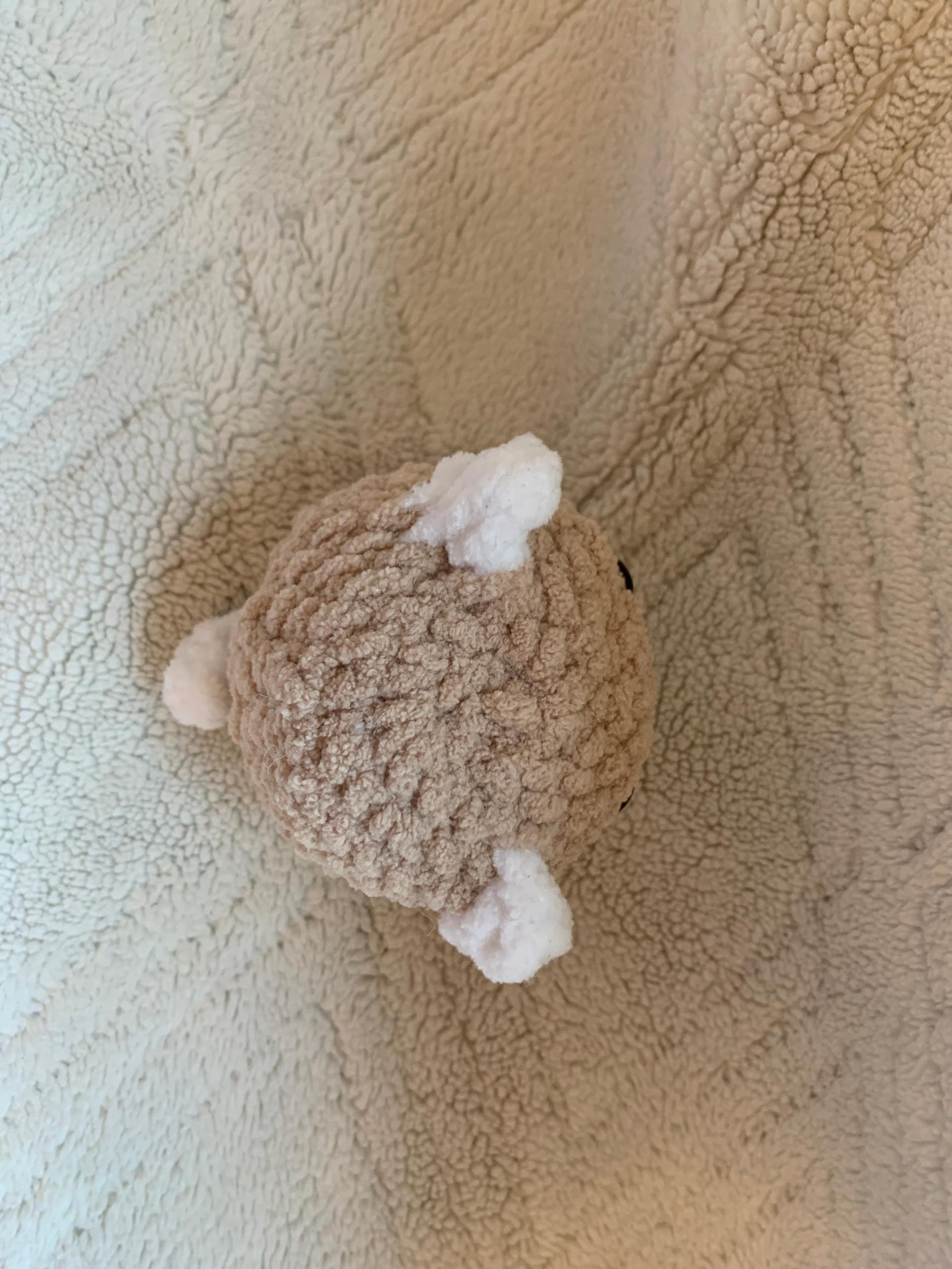 Mini cat thumbnail 2