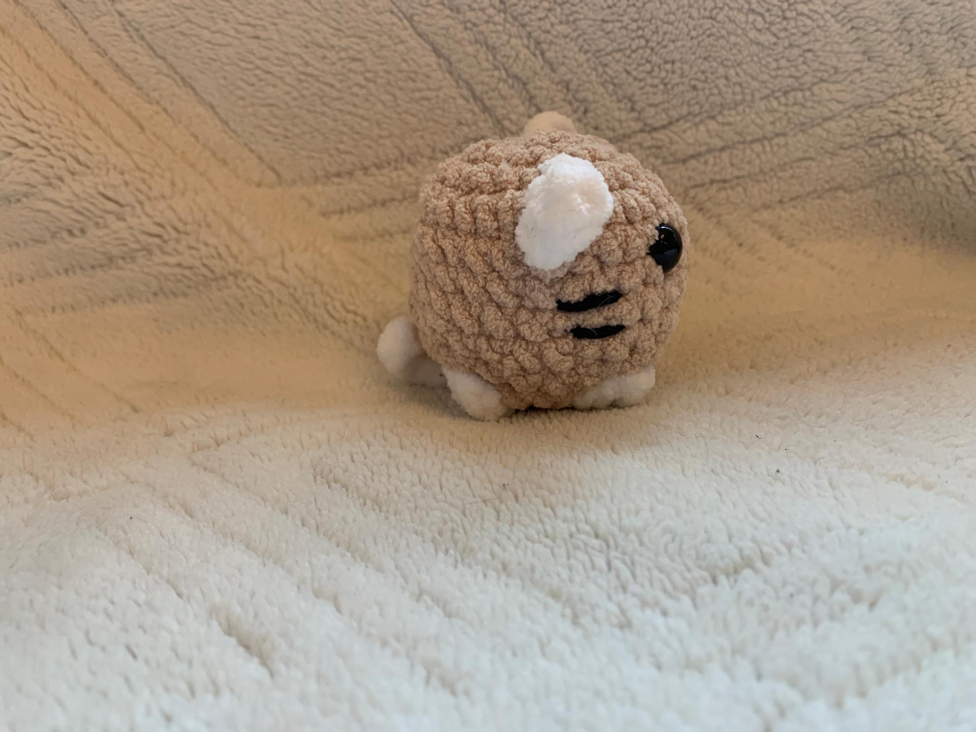 Mini cat thumbnail 3