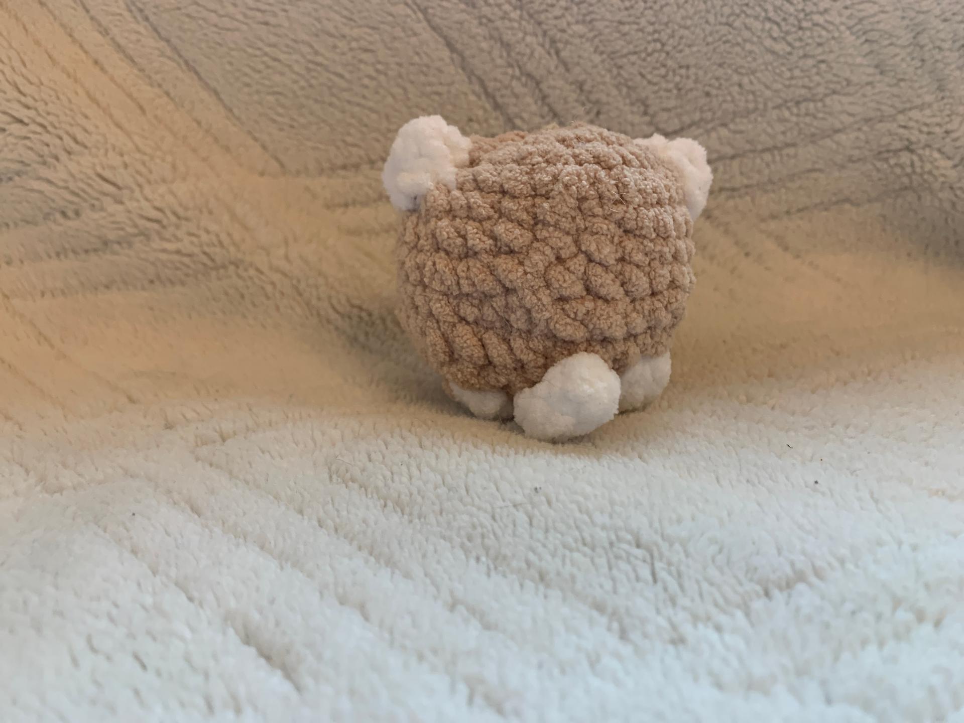 Mini cat thumbnail 4