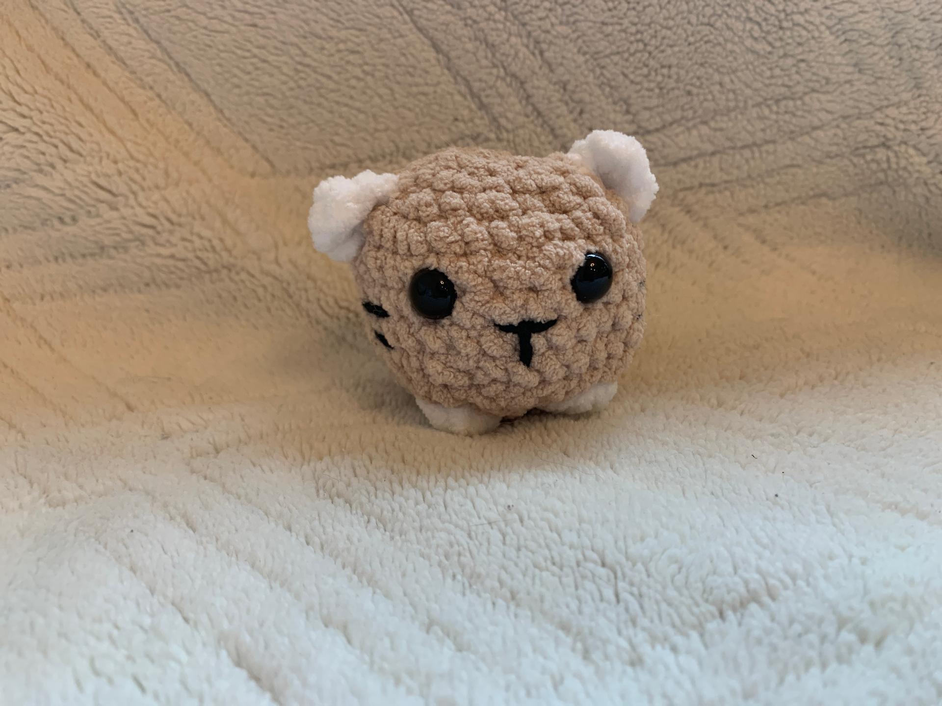 Mini cat