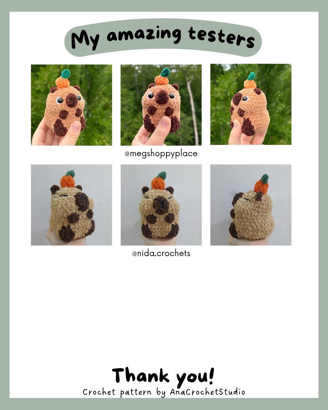 Crocodile and Capybara No - Low sew PDF Crochet pattern Chubby Amigurumi thumbnail 8