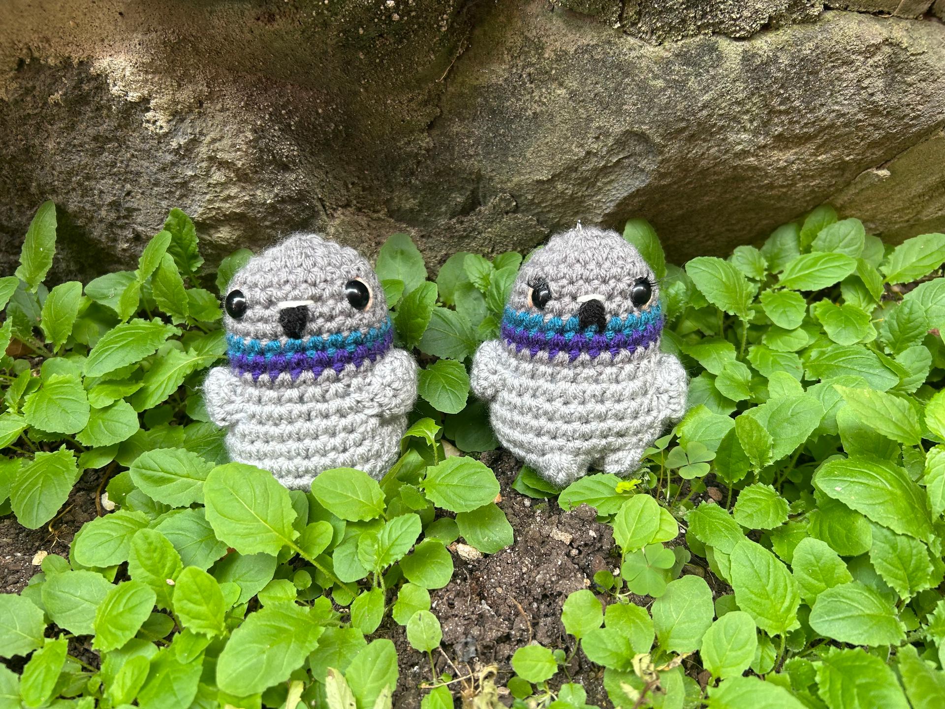 Pretty pigeon thumbnail 2