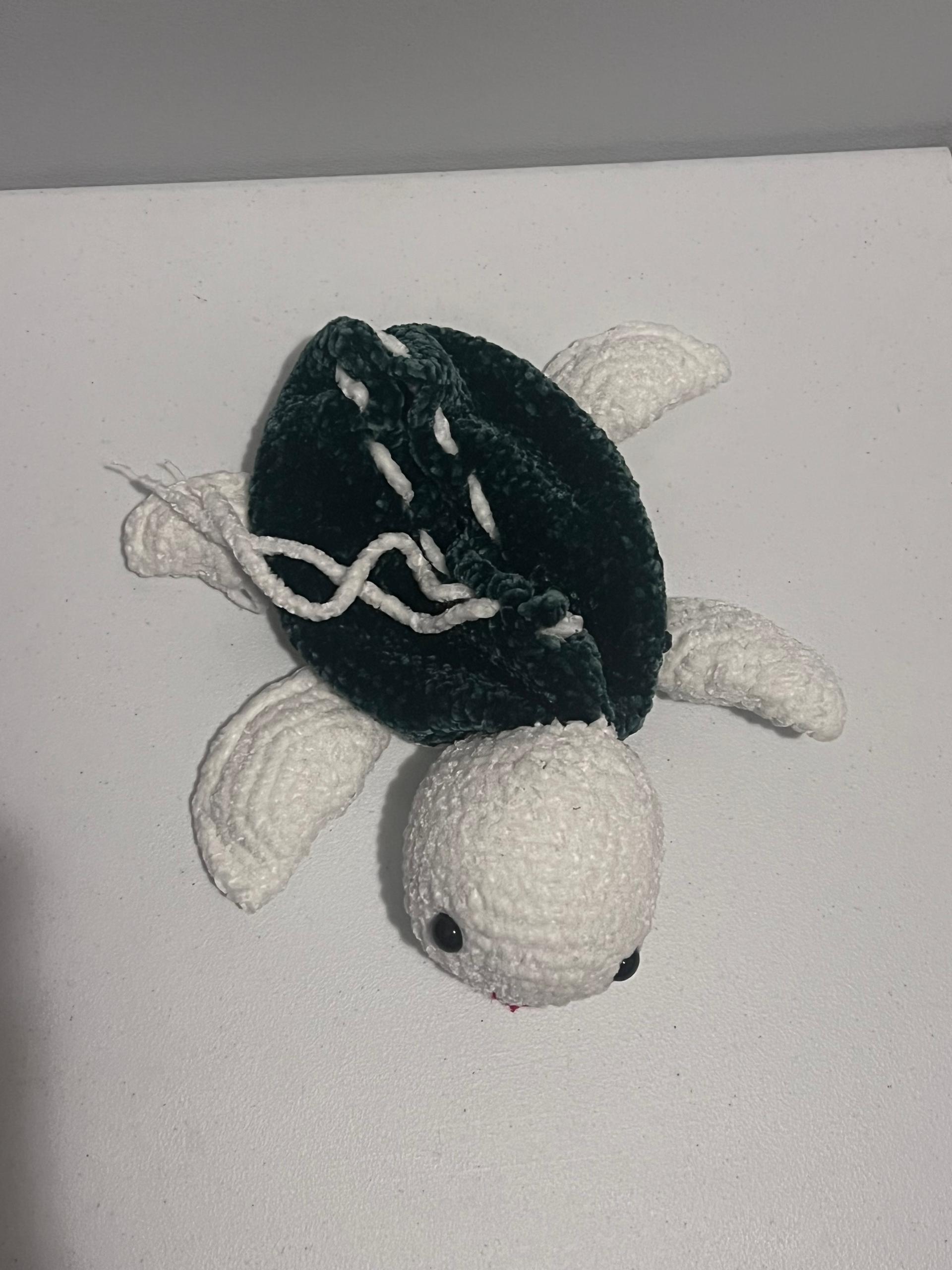 Turtle bag