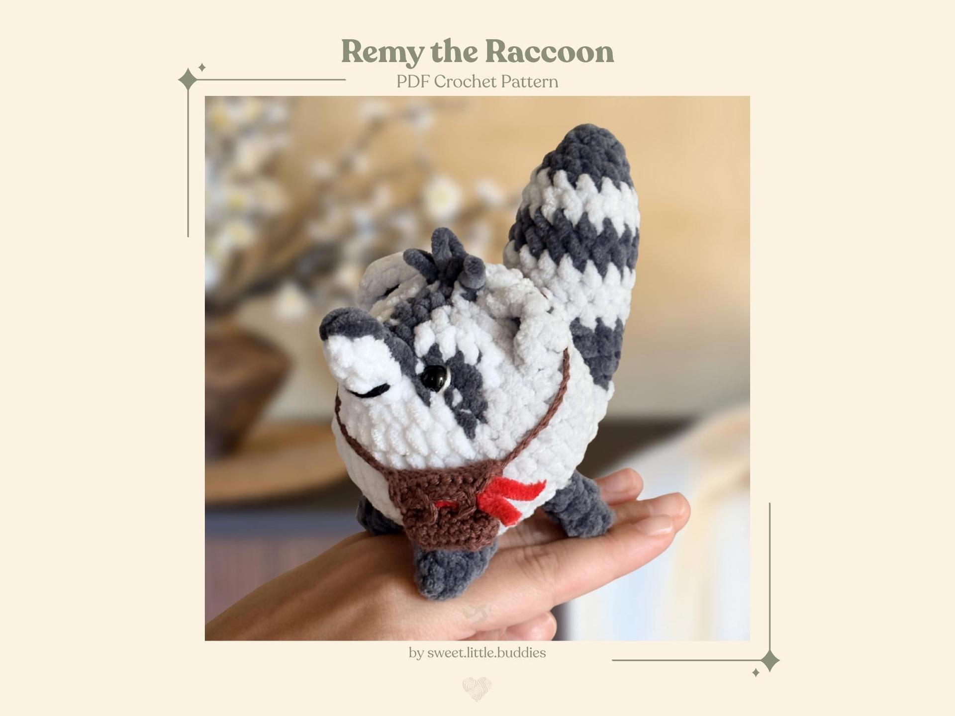 Remy the Raccoon