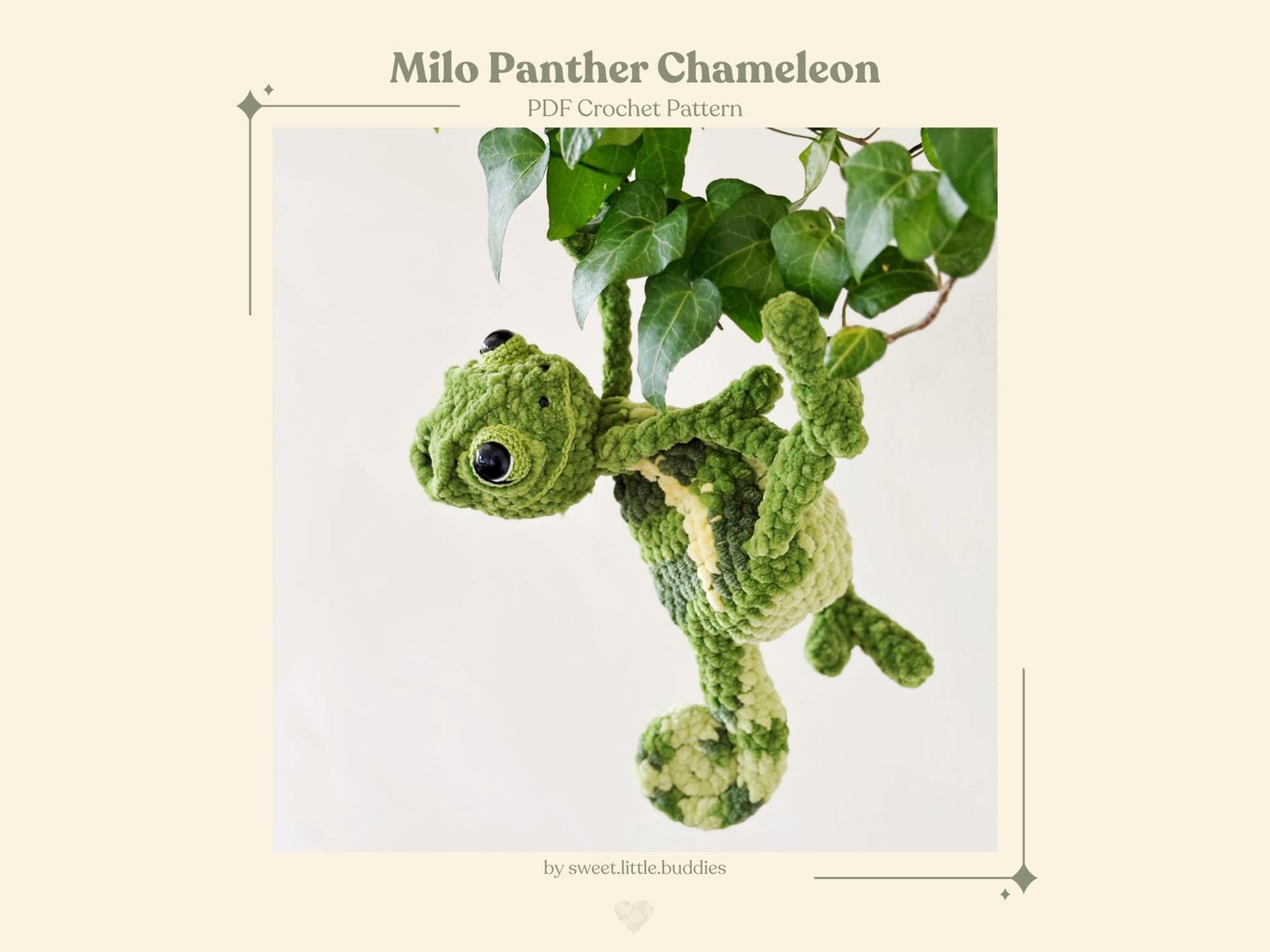 MILO the Chameleon