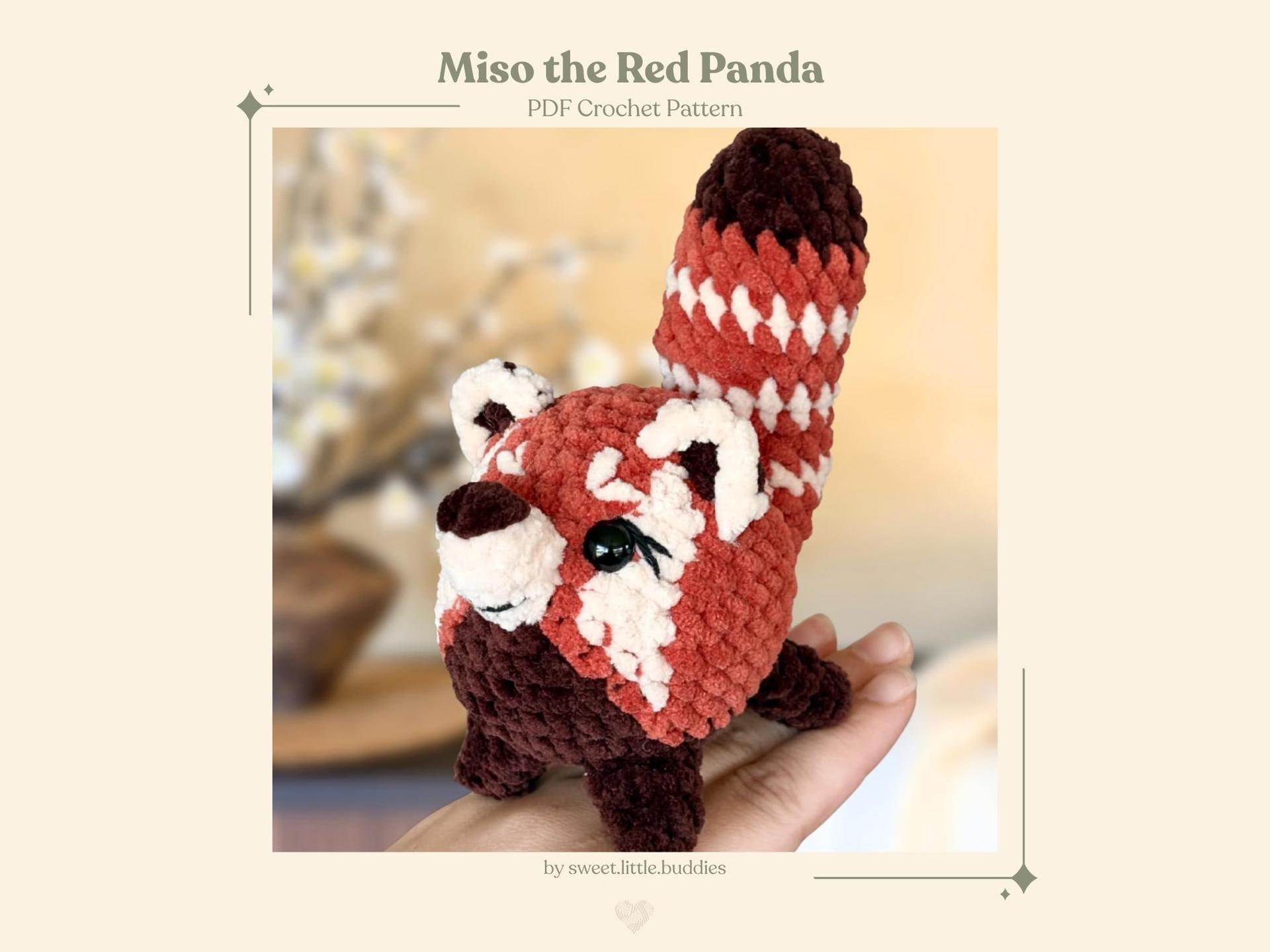 Miso the Red Panda