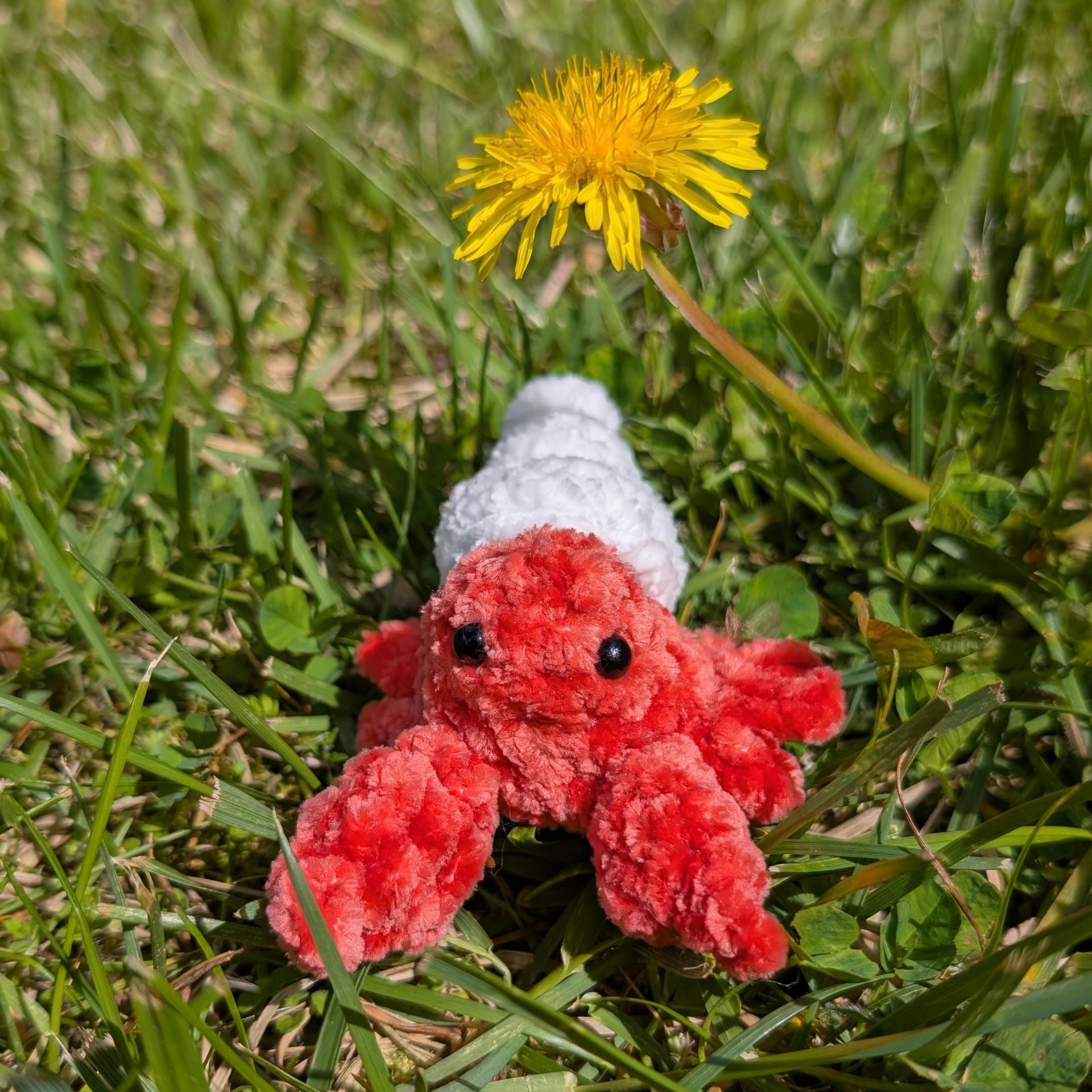 Mini Hermit Crab | Low Sew Amigurumi (PDF Download) thumbnail 7