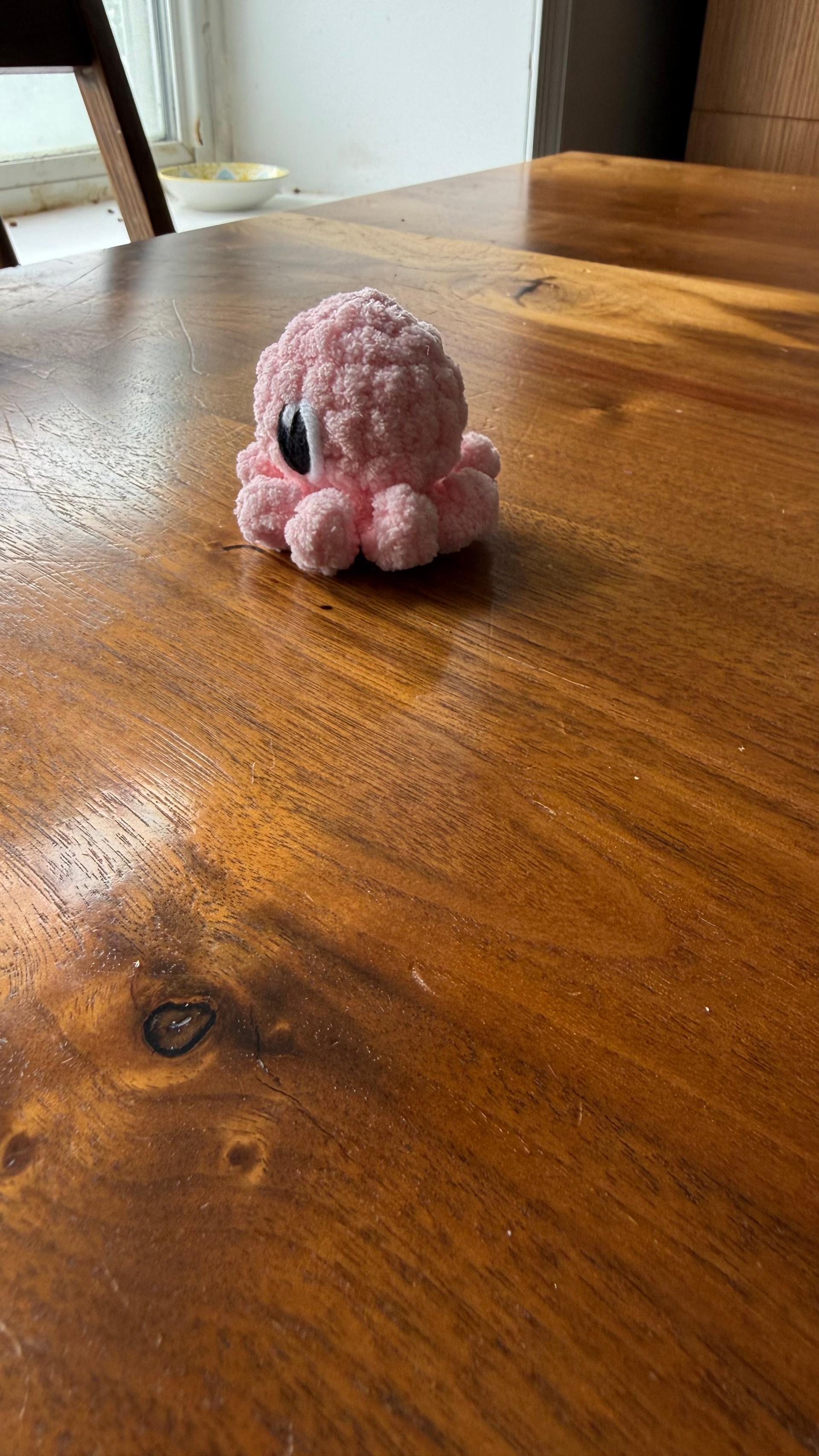 Baby Octopus