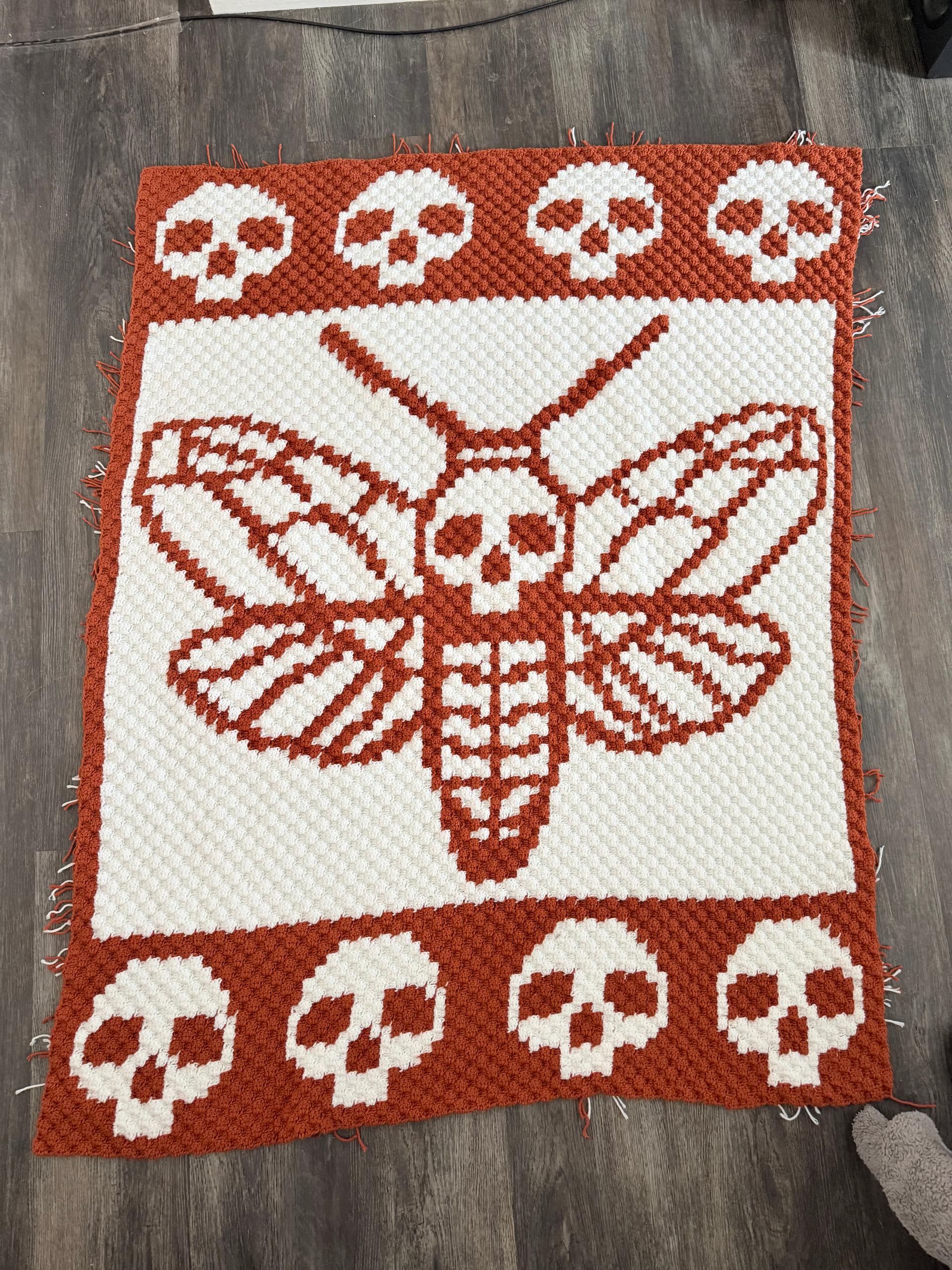 WildMothStudio photo