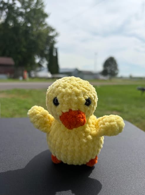 Duck