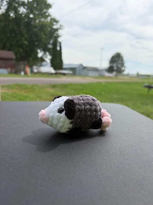 Pocket Critter thumbnail 2