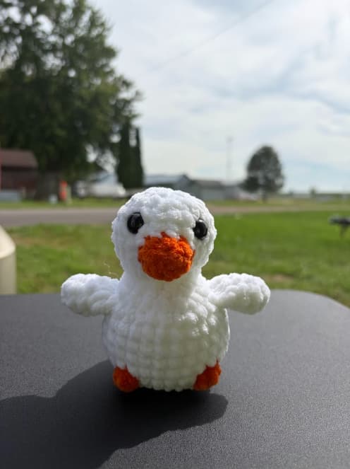 Duck thumbnail 2