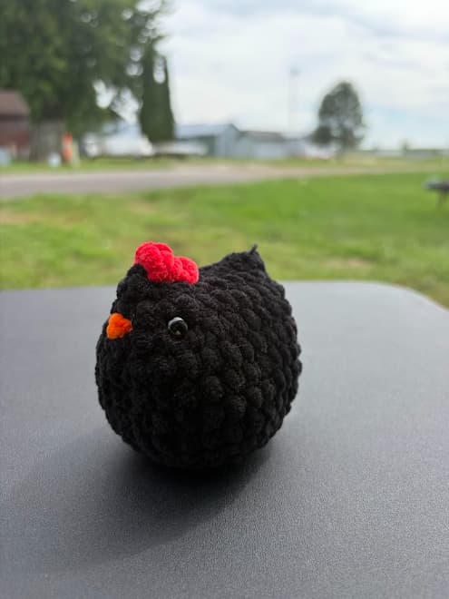 Chicken thumbnail 7