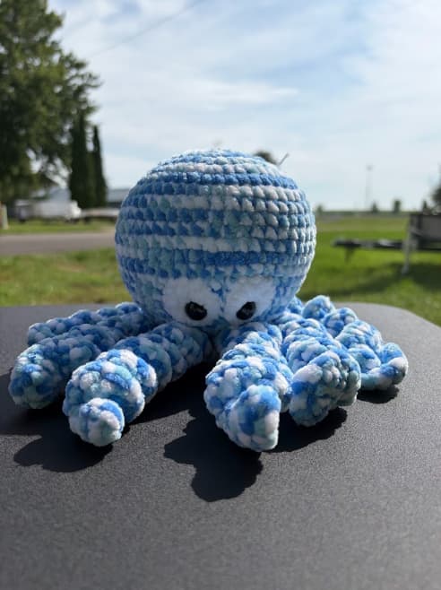 Octopus