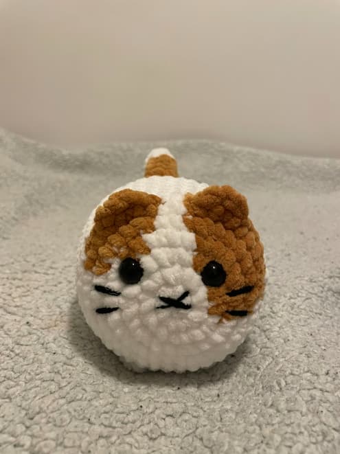 Loaf Cat