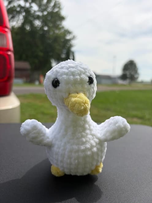 Goose