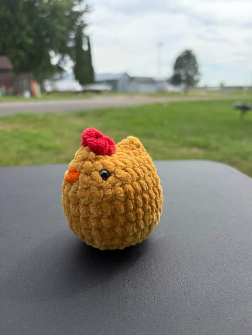 Chicken thumbnail 8
