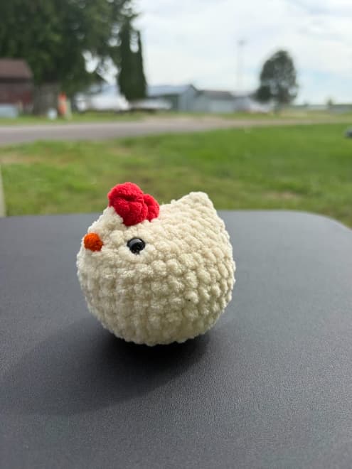 Chicken thumbnail 5