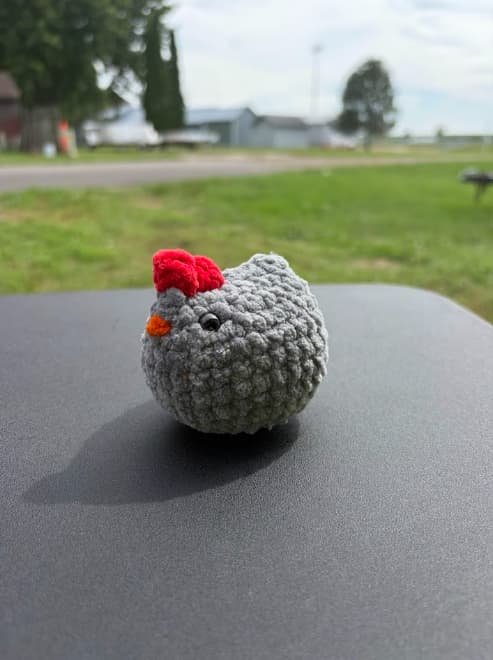 Chicken thumbnail 2