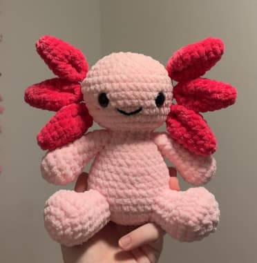 Axolotl