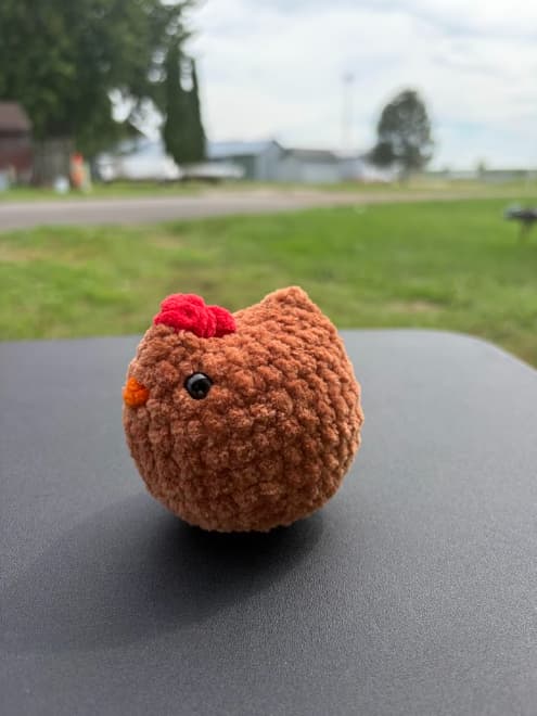 Chicken thumbnail 6