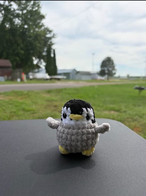 Penguin