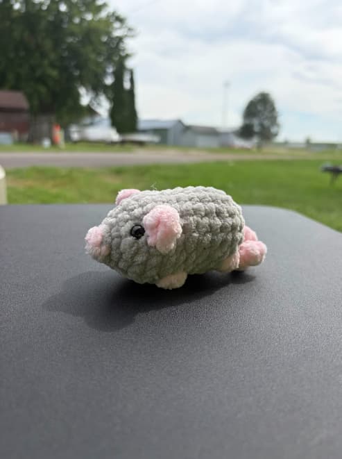 Pocket Critter