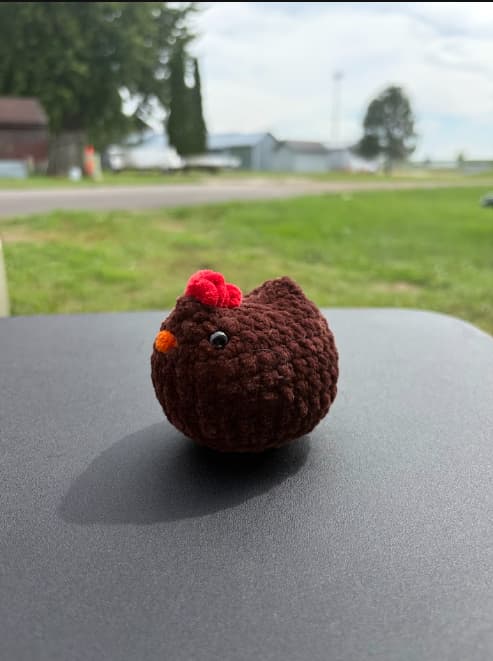 Chicken