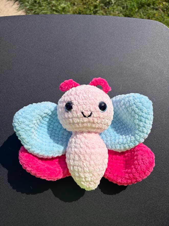 Butterfly