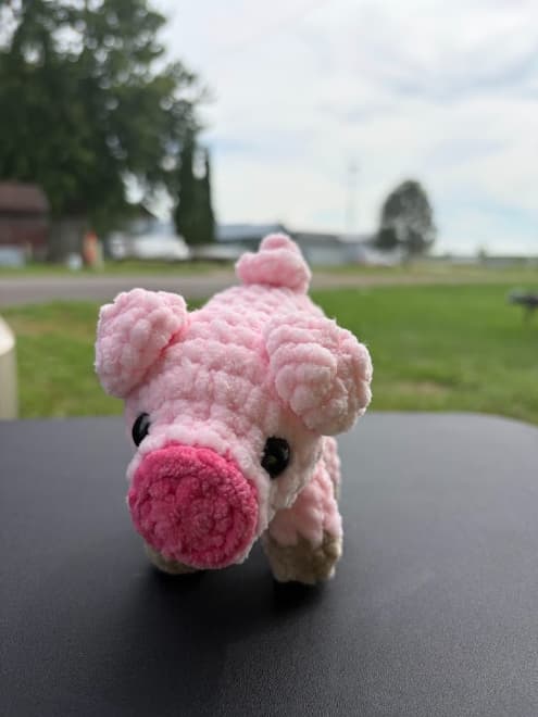Pig