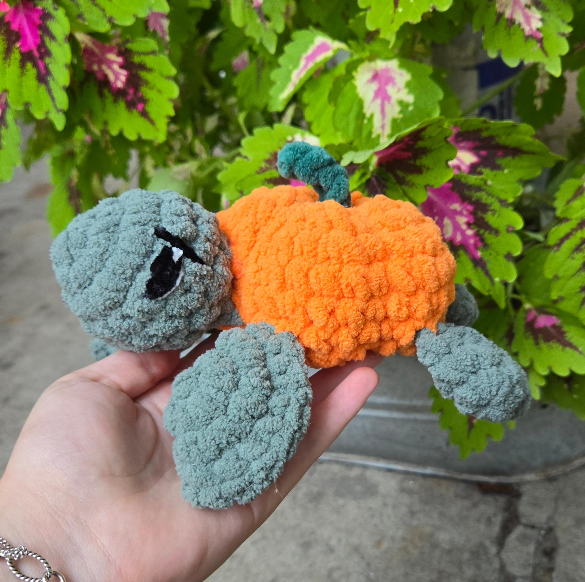 Pumpkin turtle