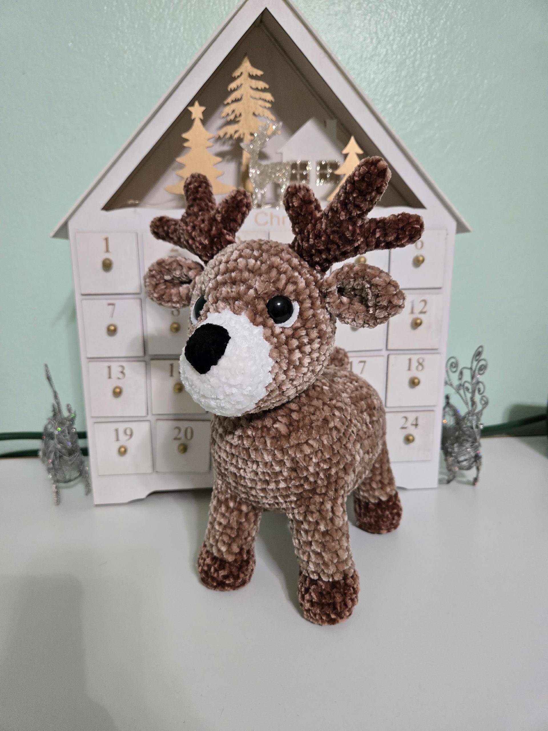 Reindeer