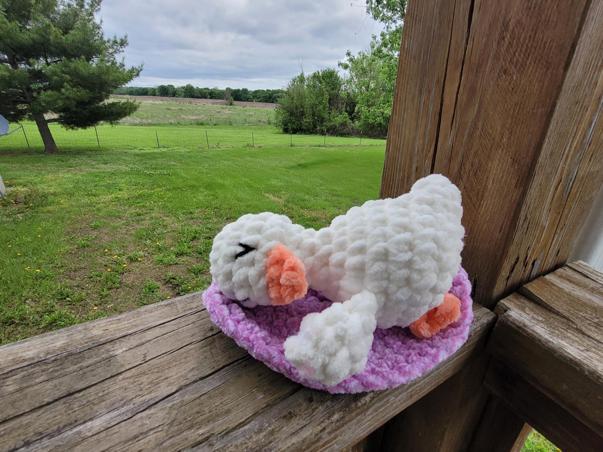 Zeus the Sleepy Goose