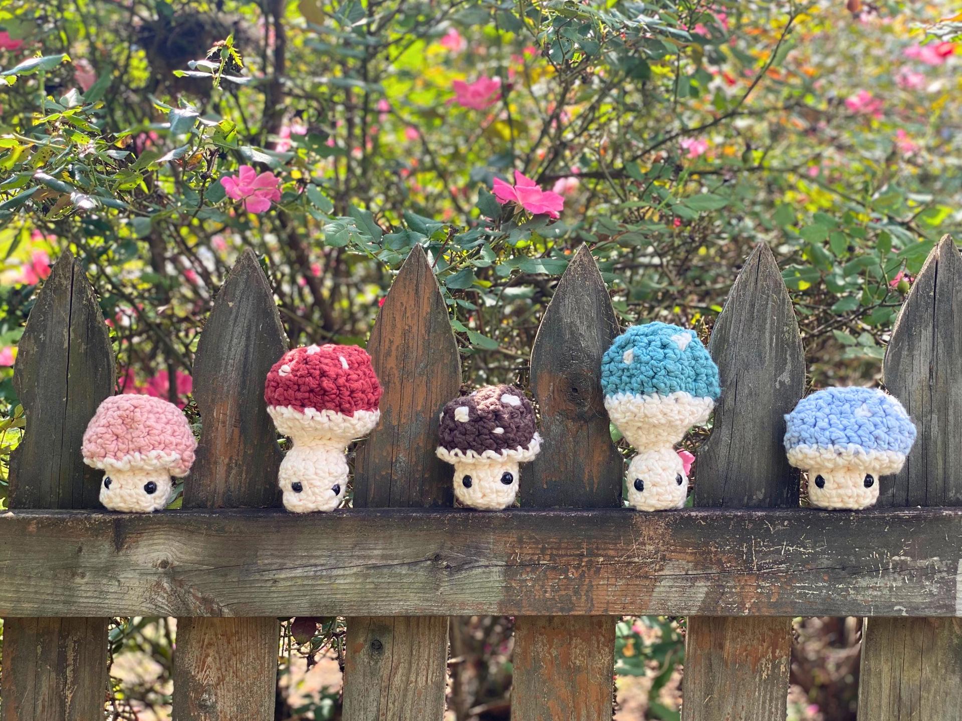 Crochet Mushroom Plushie: Handmade Cotton Mushie Pop with Embroidered Cap thumbnail 6